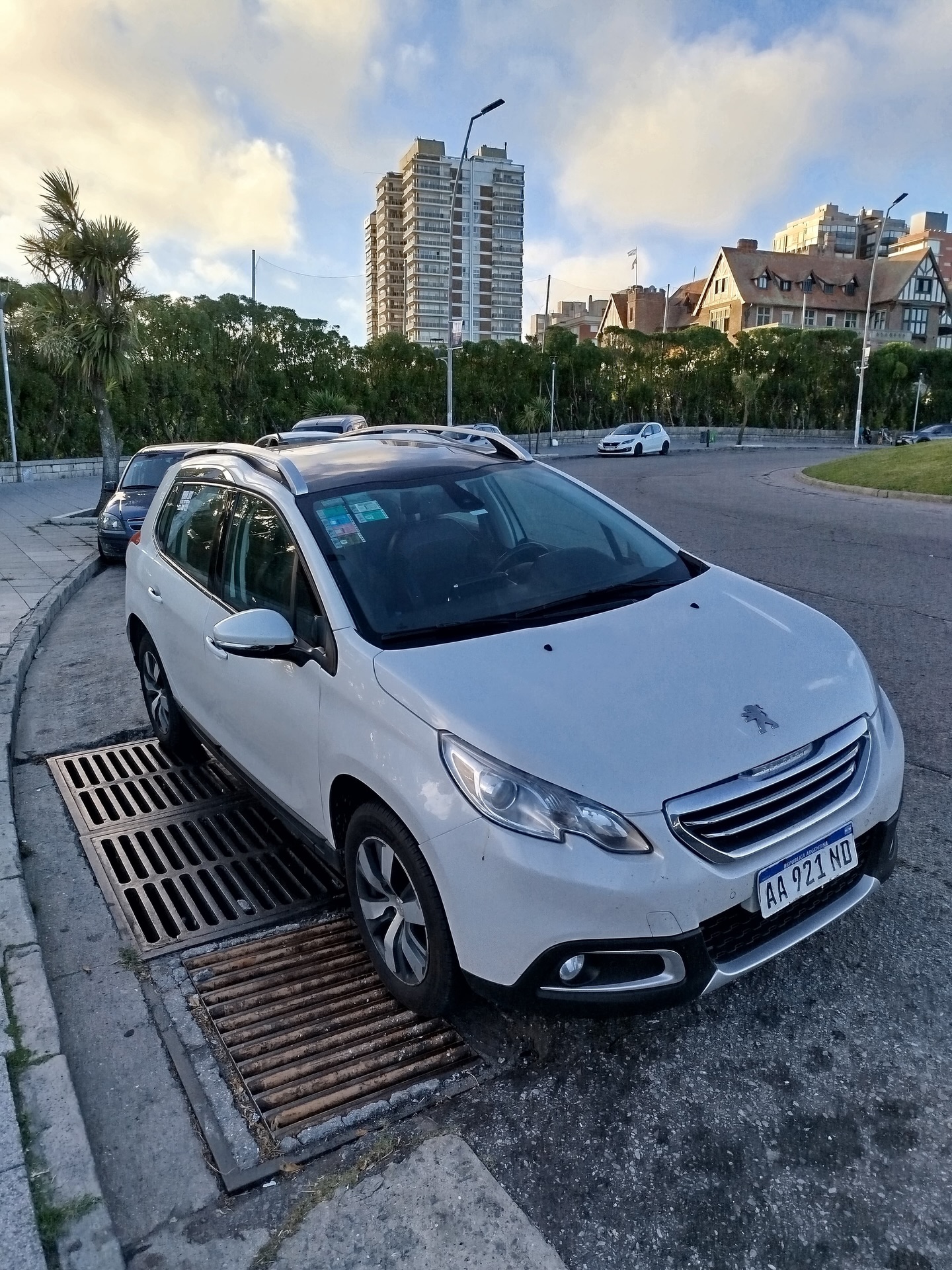 Peugeot 2008 Feline