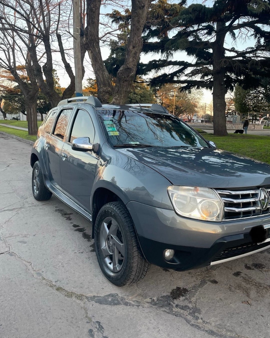 Renault Duster Privilege 2.0 4x4
