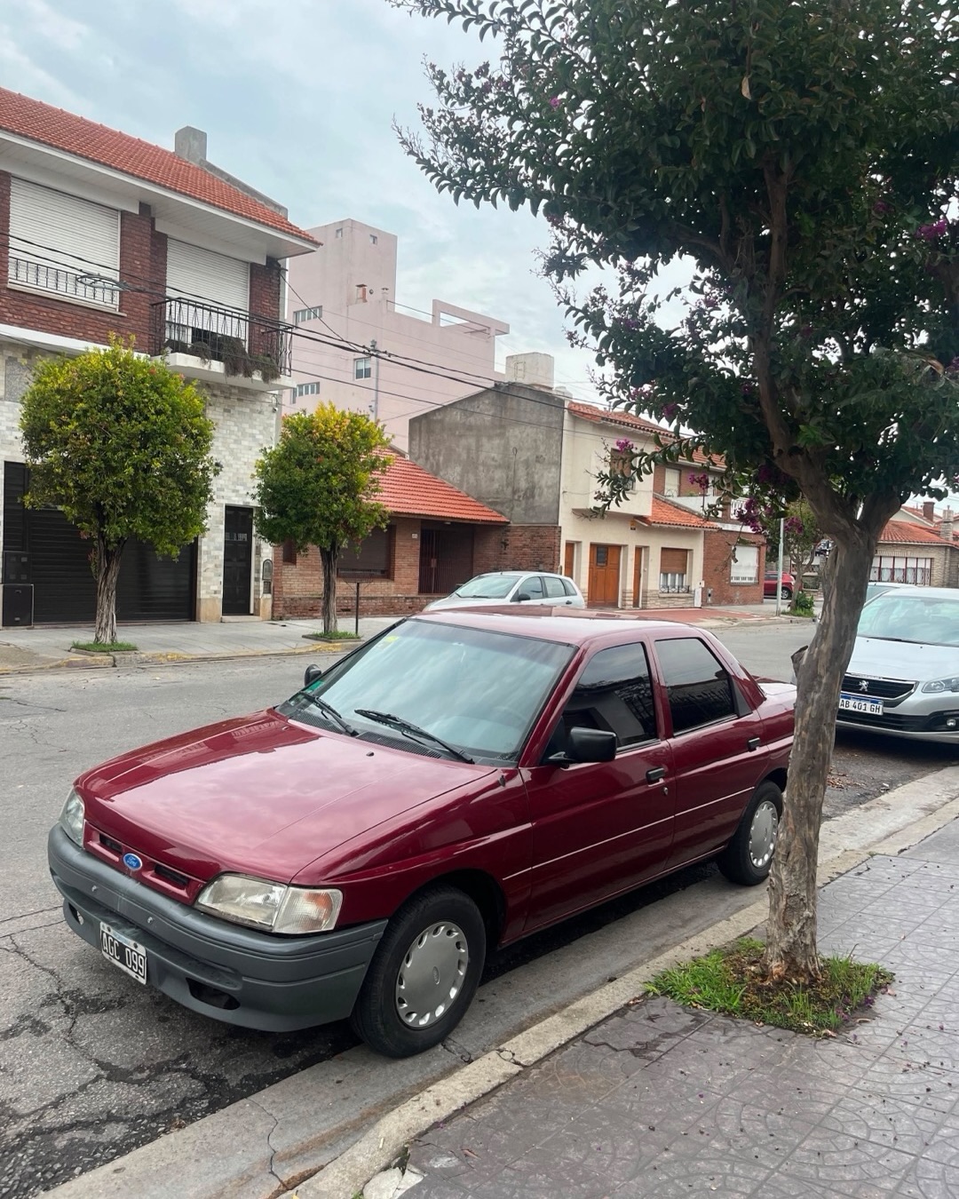 Foto 5